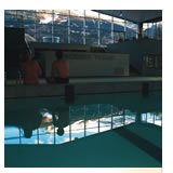 Wellness in montagna