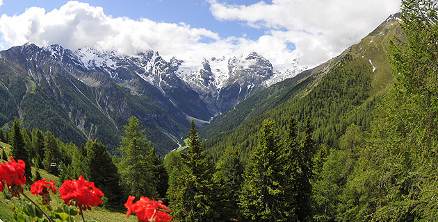 Offerte speciali a Bormio